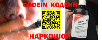 молекула духа Будённовск