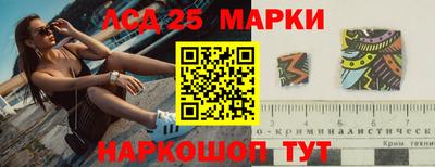 молекула духа Будённовск