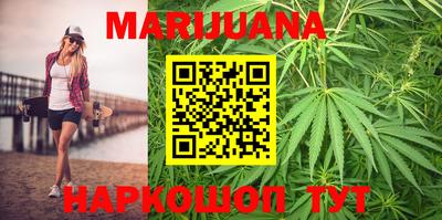 молекула духа Будённовск