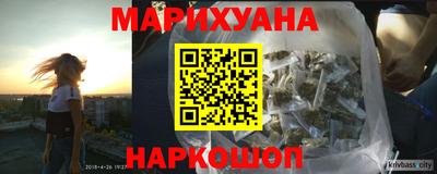 молекула духа Будённовск