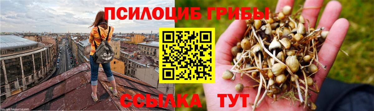 Челябинск  Галлюциногенные грибы GOLDEN TEACHER  Вход с VPN 